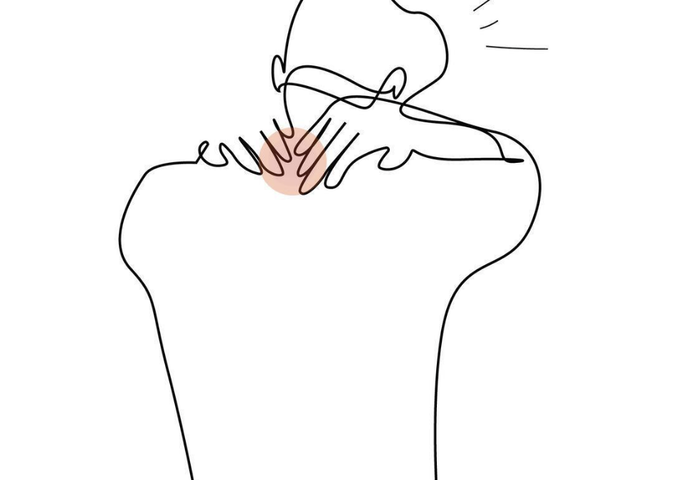 Skulder og nakkegener